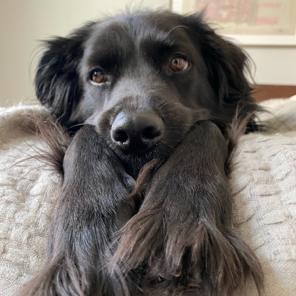 Meet your Posher, Addie